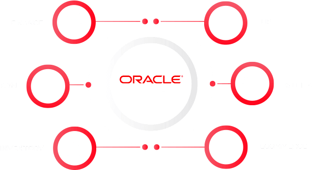 netsuite customization services